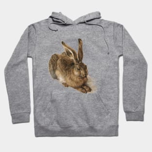 Young Hare by Albrecht Durer Hoodie